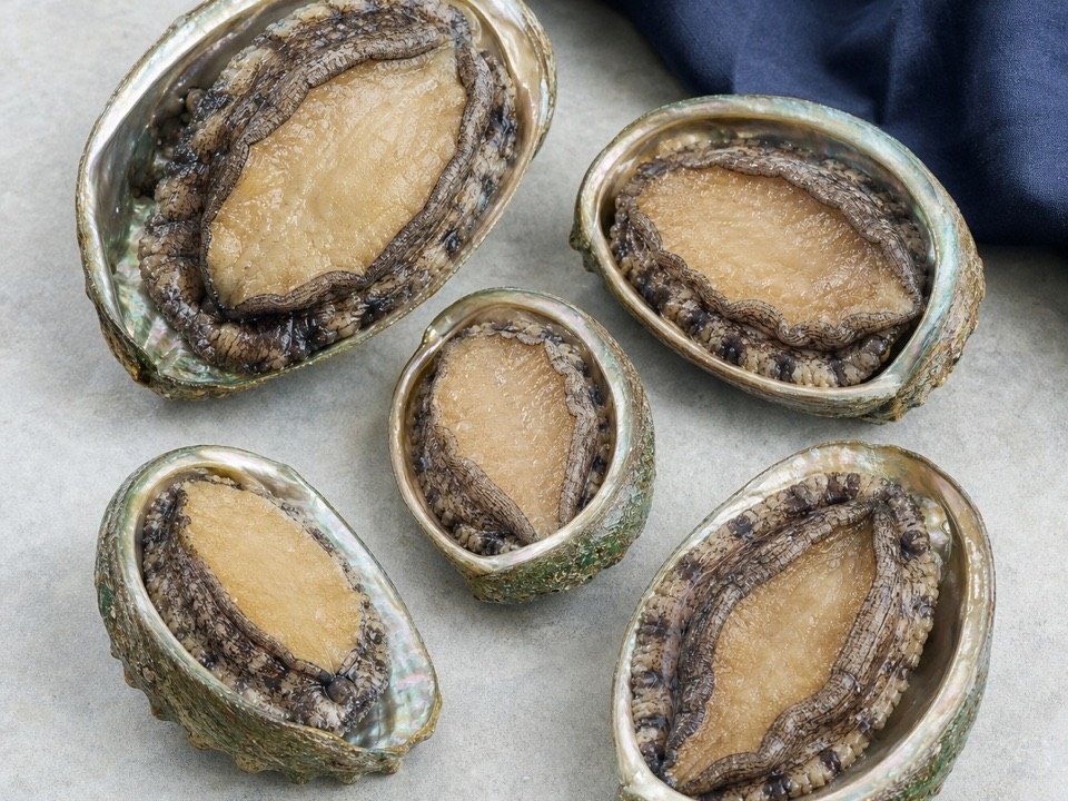 7-Count Abalone wholesale product