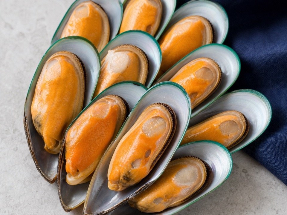 Half-Shell Mussels wholesale product
