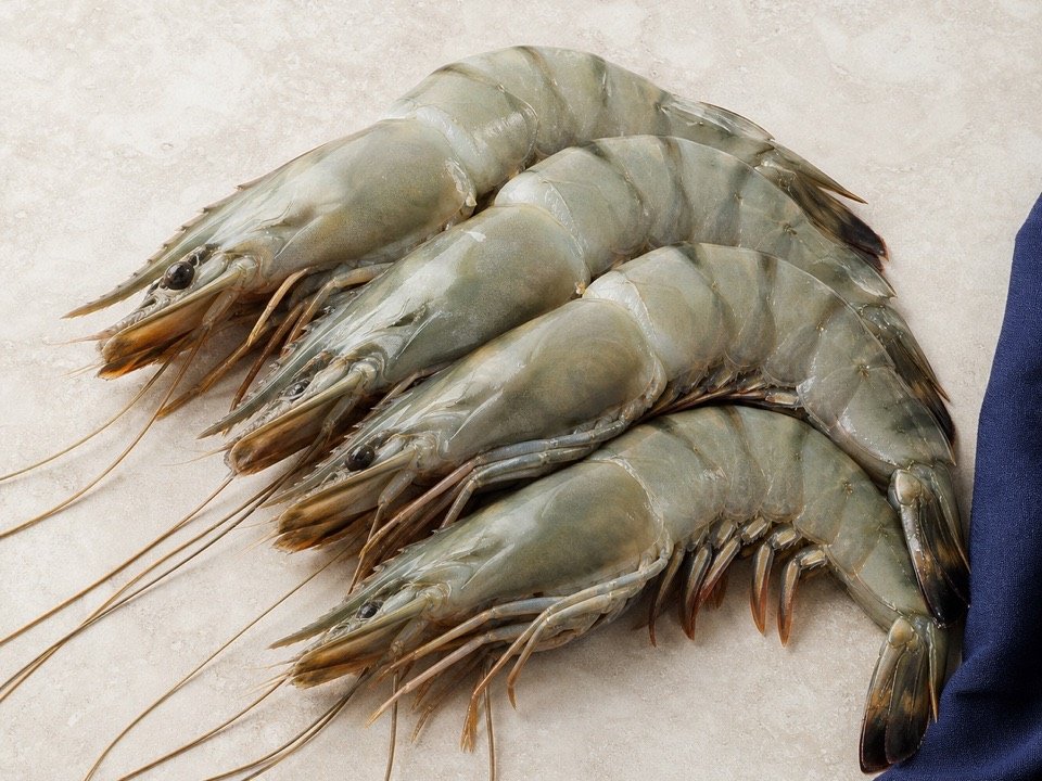 King Prawns wholesale product