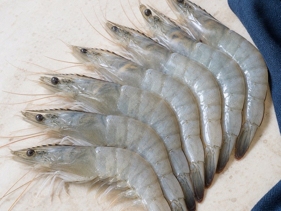 Lanbo Raw White Prawns wholesale product