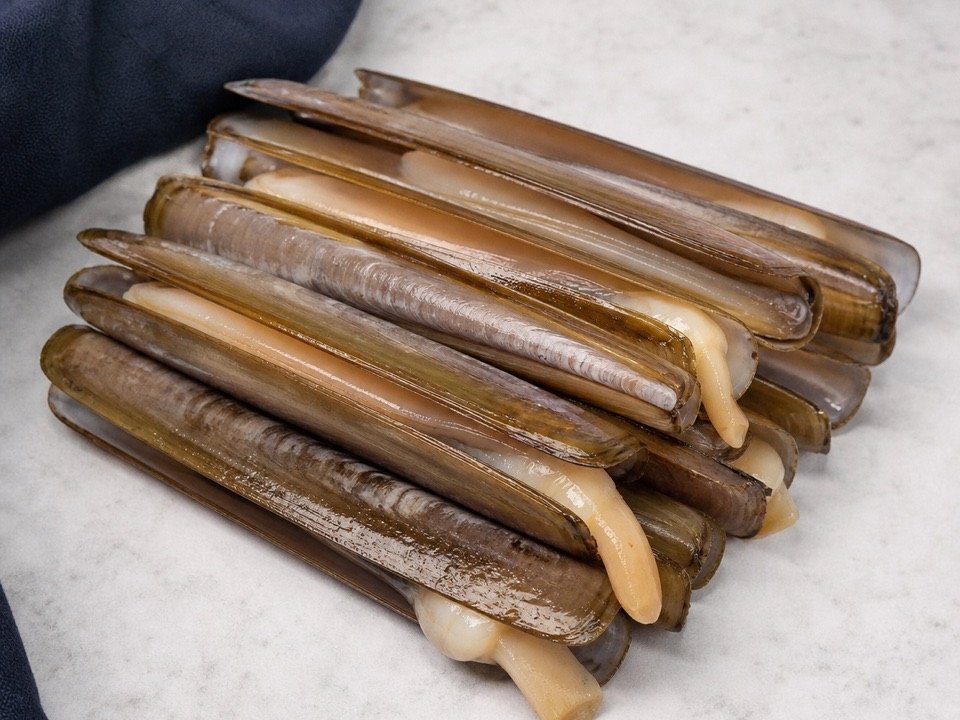 Razor Clams wholesale product